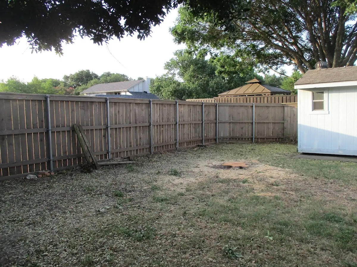 Cleared yard after professional tree removal in Miami
