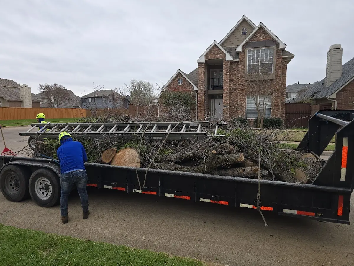 Expert Tree Fertilization with proper safety equipment in Miami